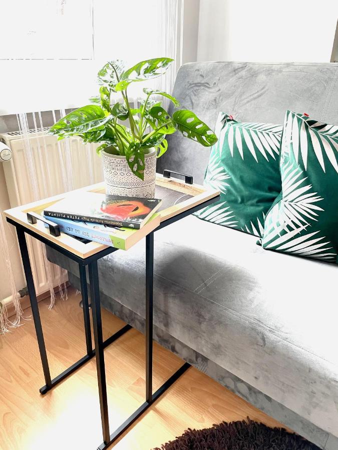 Przy Starówce Apartament *